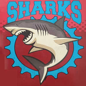 COPPIA PASTIGLIE FRENO DISCO SHARKS METAL