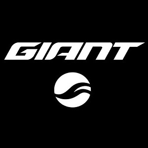 KIT TELAIO GIANT REIGN ADVANCED PRO