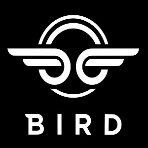 BIRD E-BIKE V FRAME