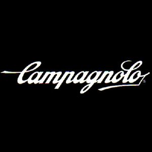 PACCO PIGNONI CAMPAGNOLO SUPER RECORD 12 SPEED