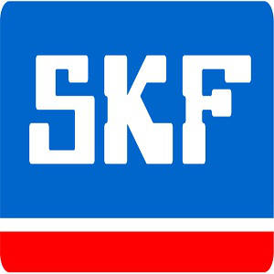 KIT PARAOLIO FORCELLA SKF