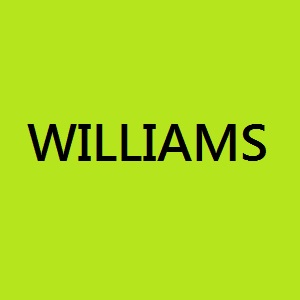 MTB WILLIAMS ELITE 27.5 AX11 NCR